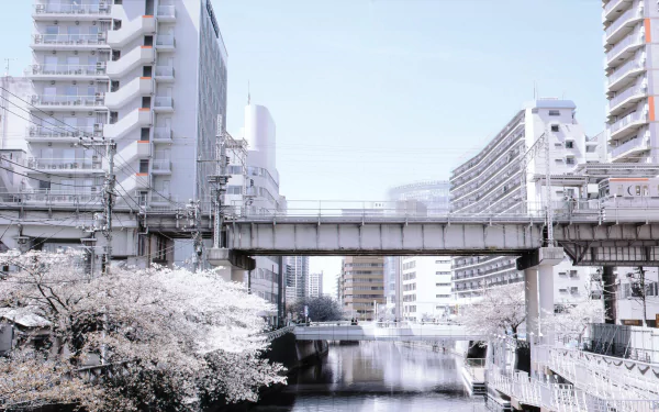 man made Tokyo HD Desktop Wallpaper | Background Image