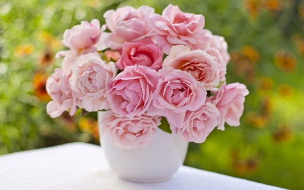 Man Made Flower Rose Bouquet Vase HD Wallpaper | Background Image