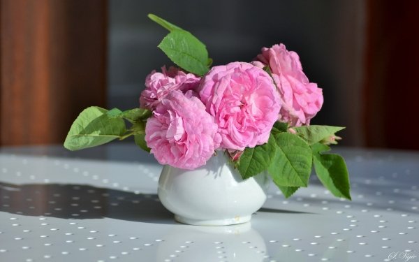 Man Made Flower Rose Bouquet Vase Pink Rose HD Wallpaper | Background Image