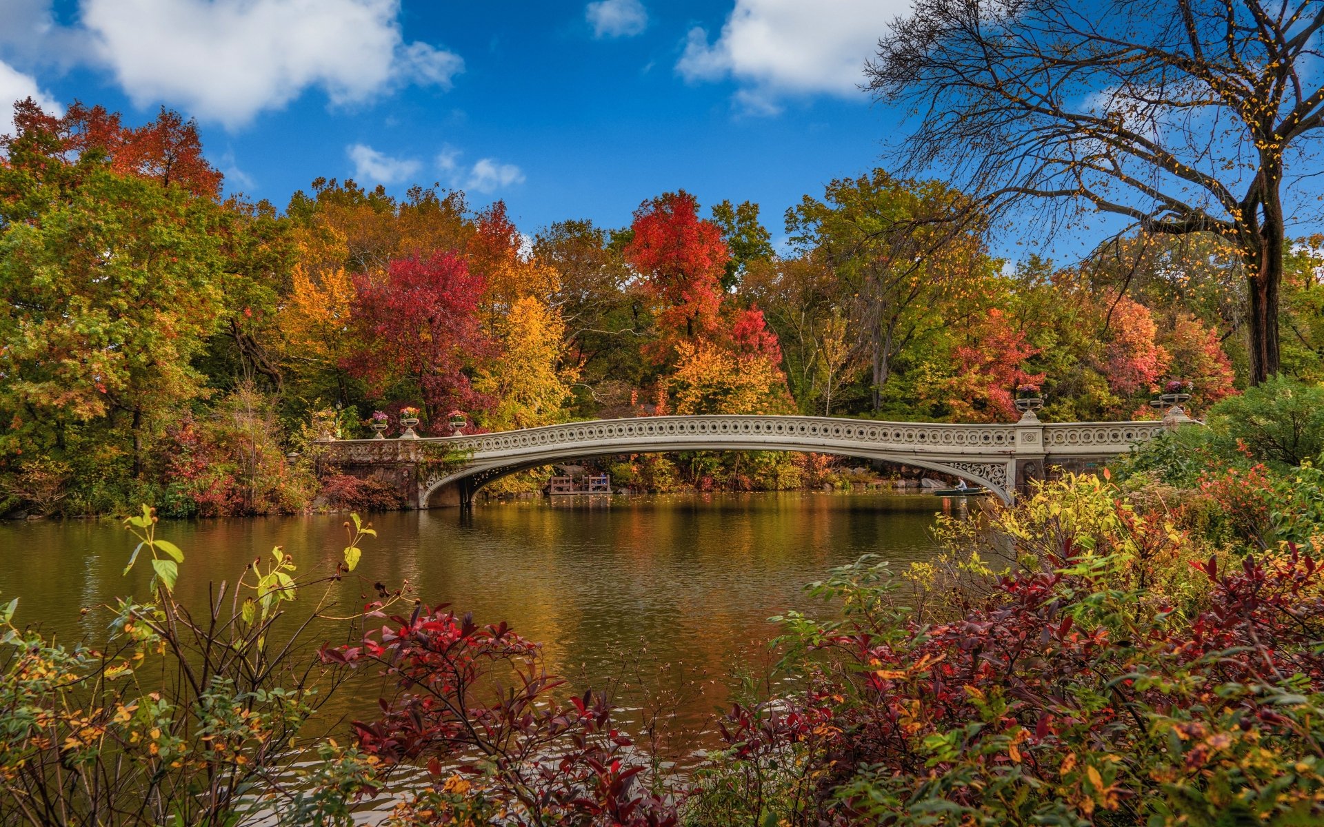 Download Usa New York Bridge Fall Central Park 4k Ultra Hd Wallpaper