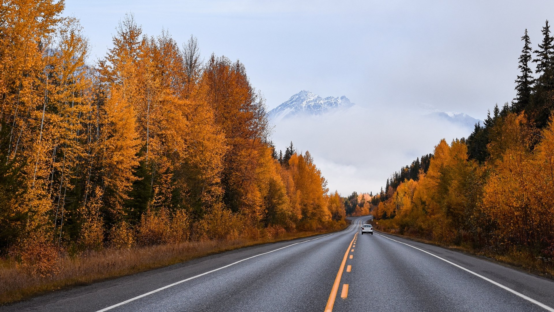 Download Forest Car Road Photography Fall 4k Ultra HD Wallpaper