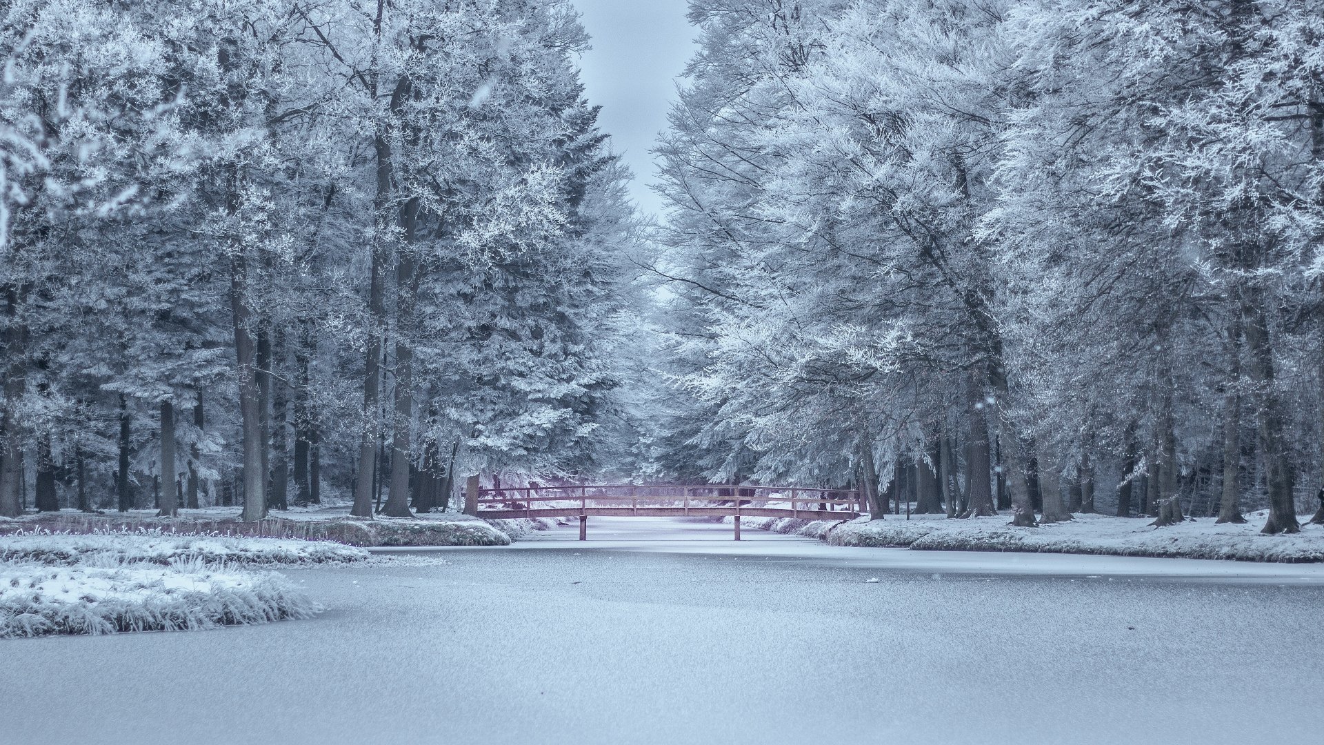 Download Bridge Park Pond Snow Frost Photography Winter 4k Ultra HD