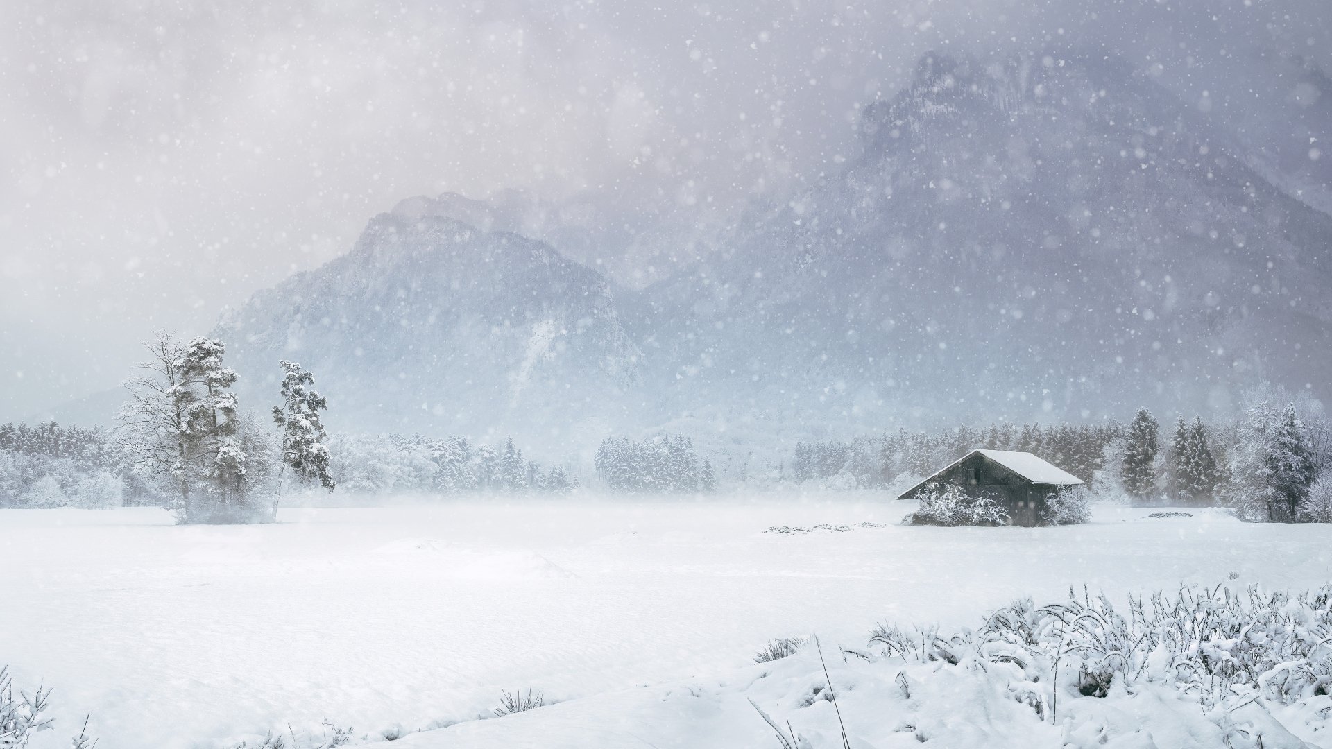 Snowfall blankets a lone hut and pine trees on a snowy plain with misty mountains beyond — winter photography, Snowy Mountain 4K Ultra HD PC desktop background.