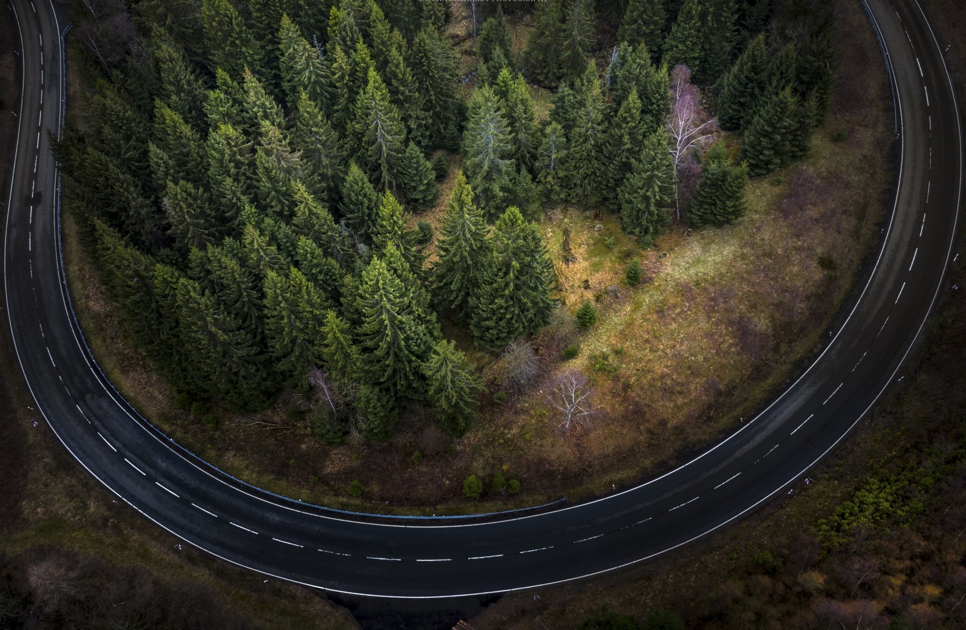 Aerial 4K Ultra HD photo of a winding road curving around a dense fir tree forest in nature, captured with striking detail and vibrant colors.