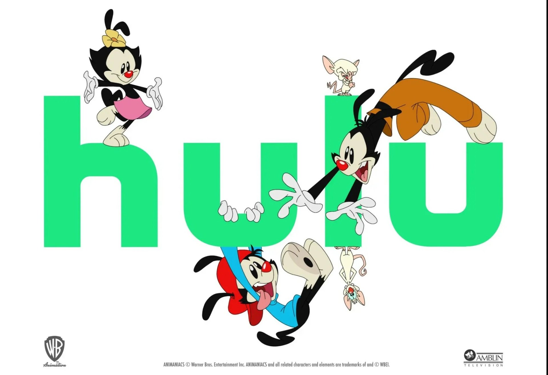 Download Yakko Warner Dot Warner Wakko Warner TV Show Animaniacs (2020) HD Wallpaper