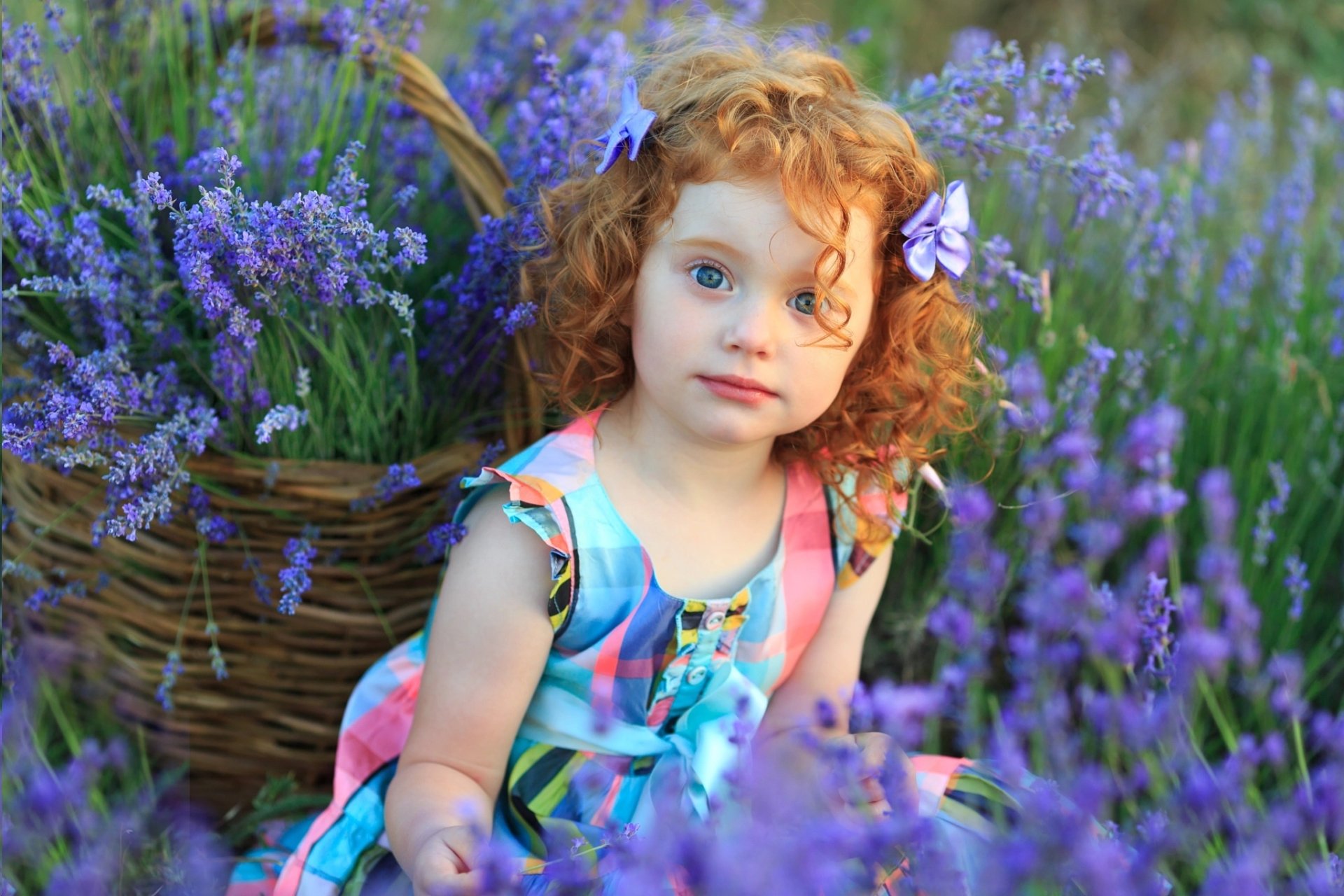 HD PC desktop wallpaper and background: redheaded little girl in a colorful dress sitting amid lavender with a wicker basket of flowers — child portrait photography.