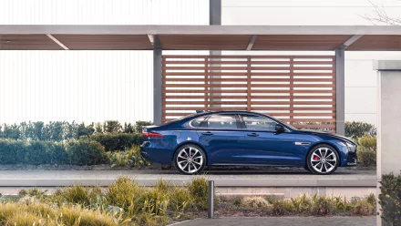 car Jaguar (Car) vehicle Jaguar XF HD Desktop Wallpaper | Background Image