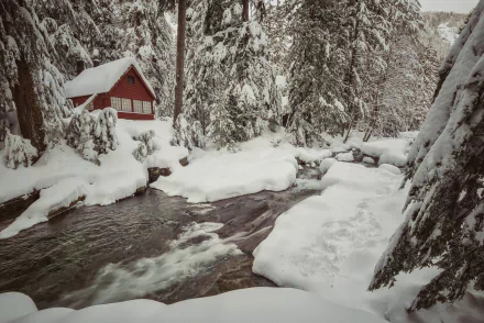 Snow-covered pine forest surrounds a red house beside a flowing river stream in this HD winter photography desktop wallpaper.