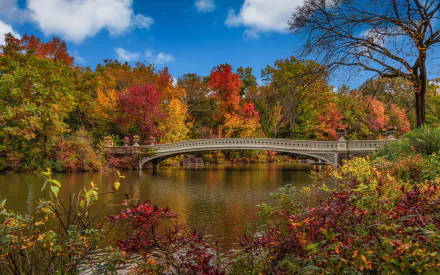 USA New York bridge fall Central Park HD Desktop Wallpaper | Background Image
