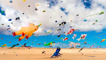 kite photography beach HD Desktop Wallpaper | Background Image