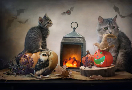 2K Quad HD PC desktop wallpaper/background showing two kittens (cats) on burlap with Halloween pumpkins, a glowing lantern, a small owl and bats flying overhead.