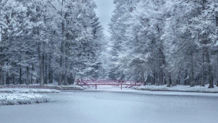 Winter park scene with frost-covered trees and a red bridge over a frozen pond, captured in 4K Ultra HD as a serene desktop wallpaper background.
