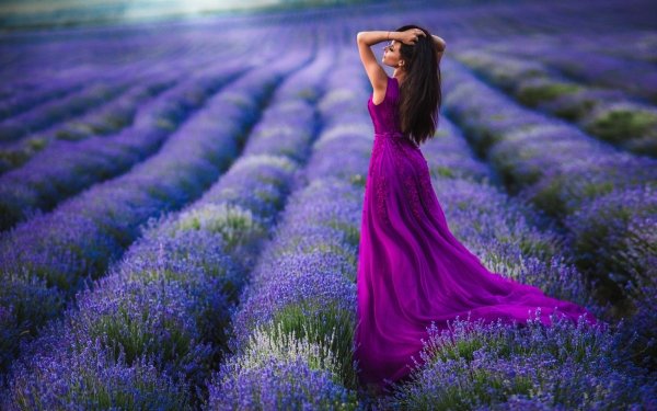 Women Mood Field Dress Lavender Model HD Wallpaper | Background Image