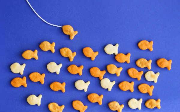 goldfish (cracker) cookie fish food cracker HD Desktop Wallpaper | Background Image