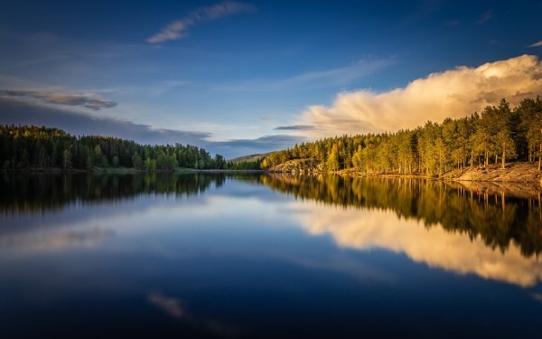 Earth Reflection Norway Lake Forest Sky Cloud HD Wallpaper | Background Image