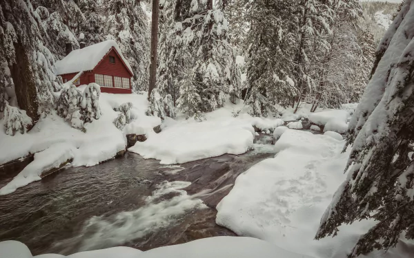 Snow-covered pine forest surrounds a red house beside a flowing river stream in this HD winter photography desktop wallpaper.