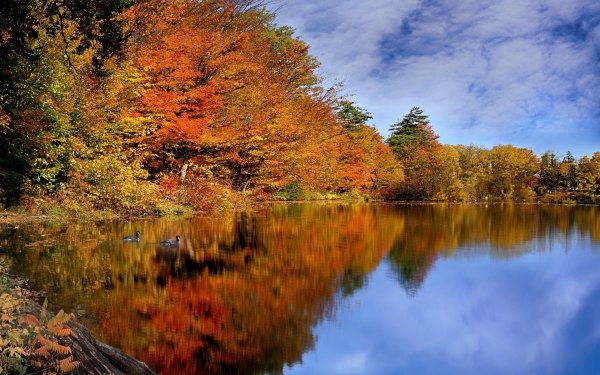 Earth Fall Sky River Canada Reflection HD Wallpaper | Background Image