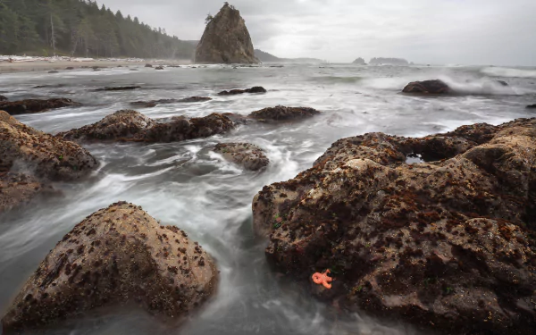  Rialto Beach in Olymic National Park, Washington, USA