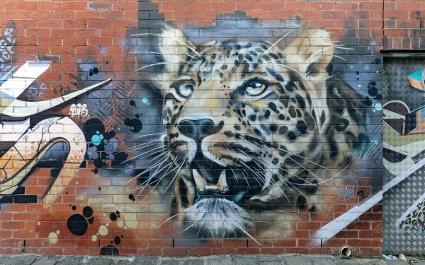 Artistic Graffiti Wall Leopard HD Wallpaper | Background Image