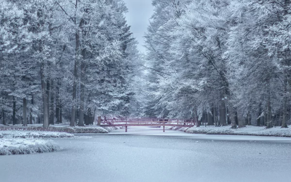 Winter park scene with frost-covered trees and a red bridge over a frozen pond, captured in 4K Ultra HD as a serene desktop wallpaper background.