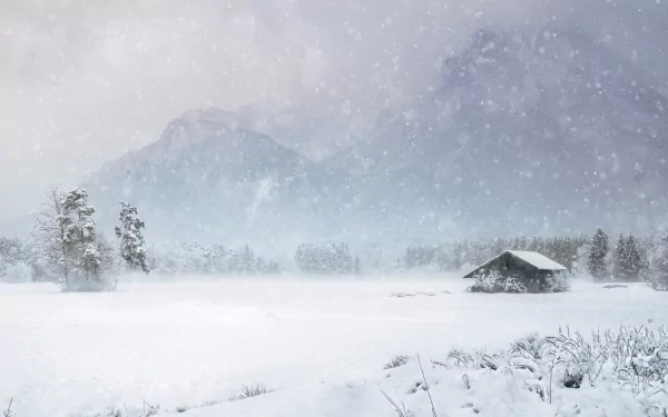 Snowfall blankets a lone hut and pine trees on a snowy plain with misty mountains beyond — winter photography, Snowy Mountain 4K Ultra HD PC desktop background.