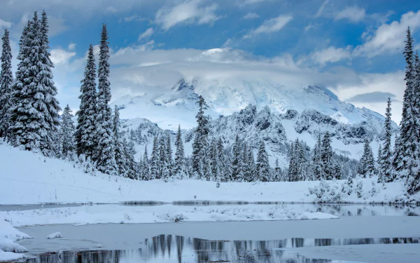 Snow-covered Mount Rainier rises behind frosted evergreen trees and a partially frozen lake in this 4K Ultra HD winter landscape wallpaper.