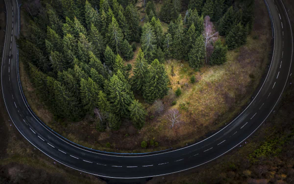 fir tree nature road photography aerial HD Desktop Wallpaper | Background Image