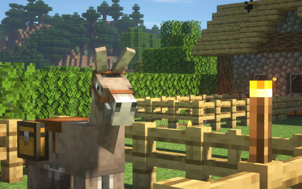 Donkey