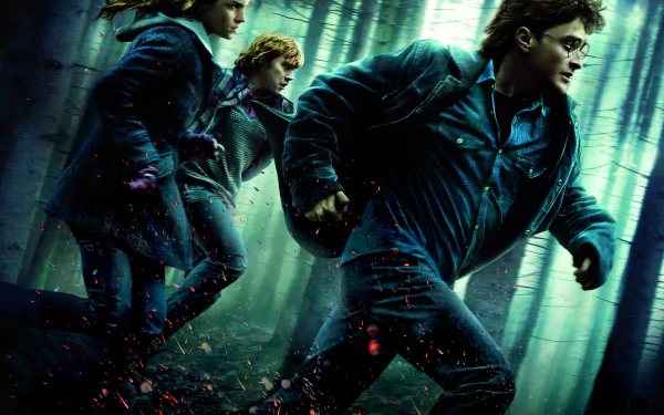 Ron Weasley Hermione Granger Harry Potter movie Harry Potter and the Deathly Hallows: Part 1 HD Desktop Wallpaper | Background Image