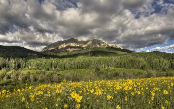Nature Landscape Mountain Meadow Yellow Flower Cloud HD Wallpaper | Background Image