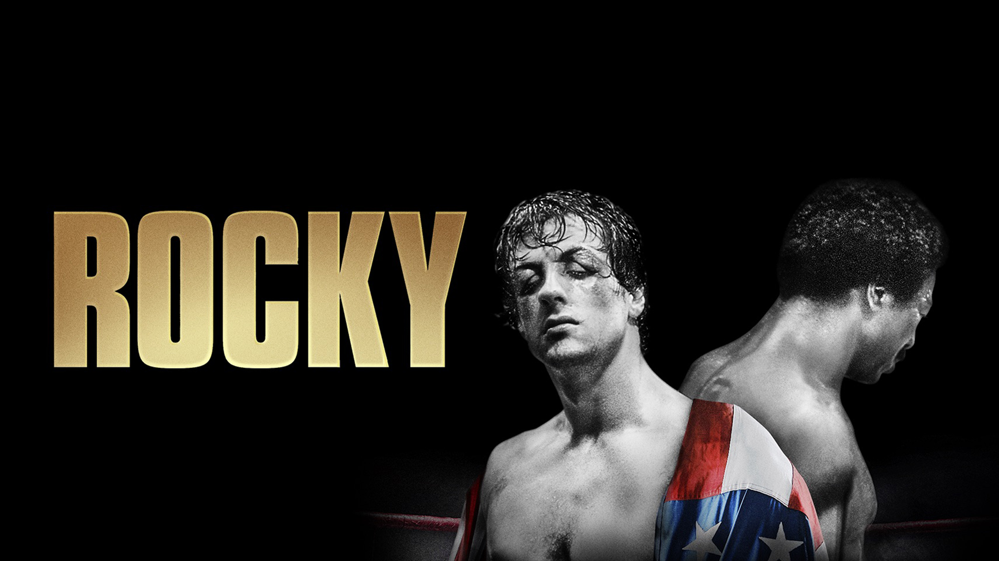 Rocky HD Wallpapers and Backgrounds. 
