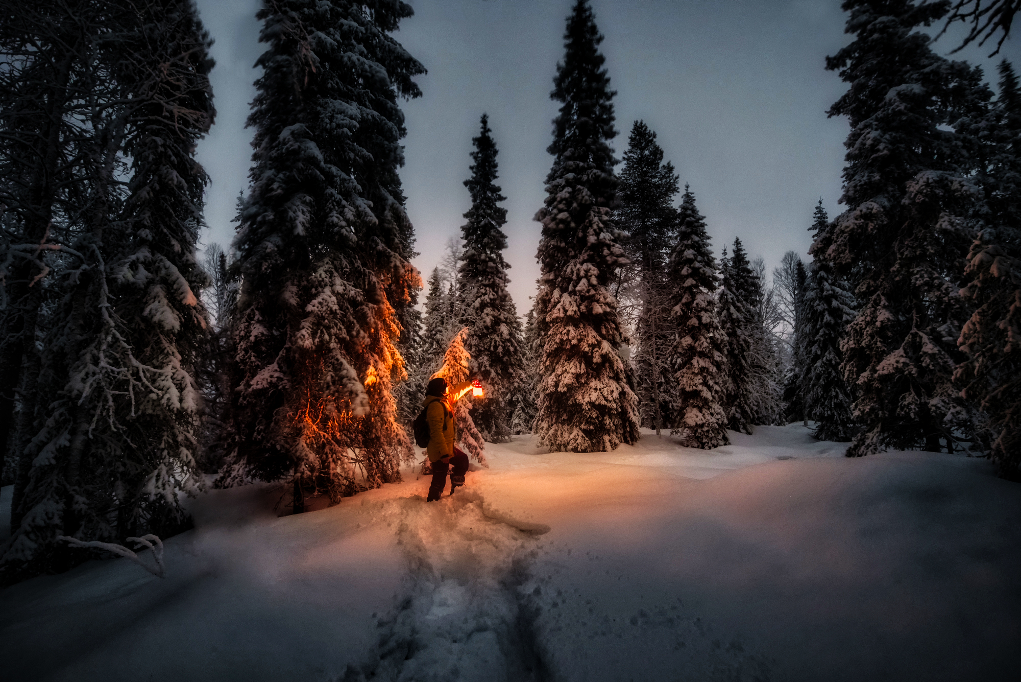 Winter HD Wallpaper by Yuri Stolypin