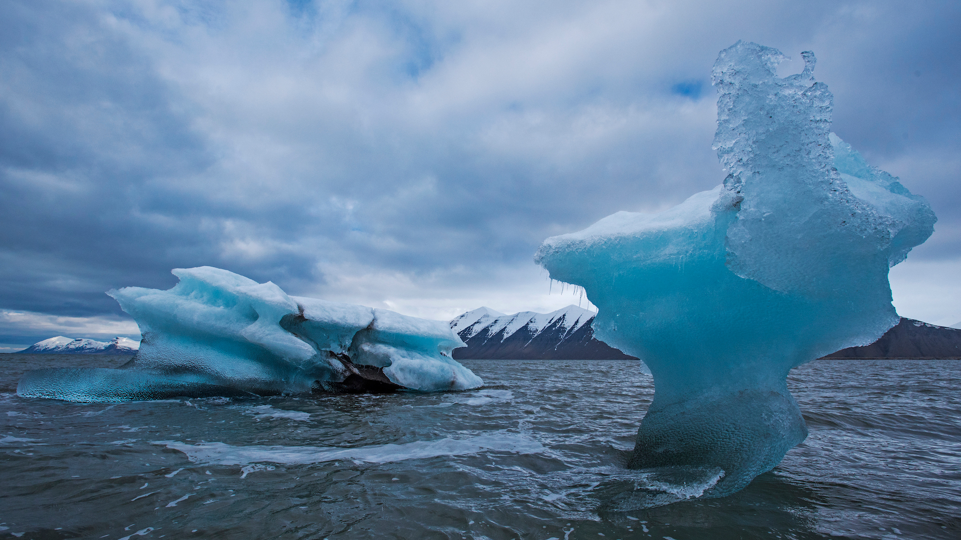 Icebergs Floating in the Arctic Ocean off the Coast of Svalbard by Dhritiman Mukherjee