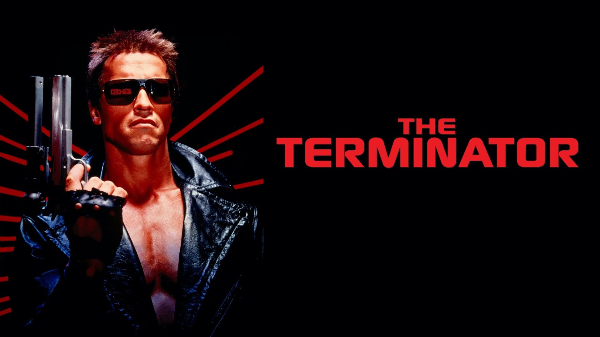 Download Arnold Schwarzenegger Movie The Terminator HD Wallpaper