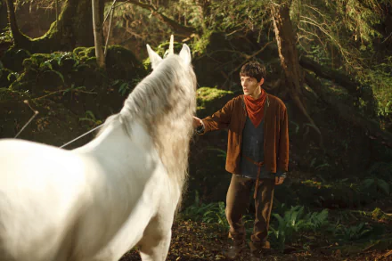  The Unicorn
