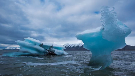  Icebergs Floating in the Arctic Ocean off the Coast of Svalbard by Dhritiman Mukherjee
