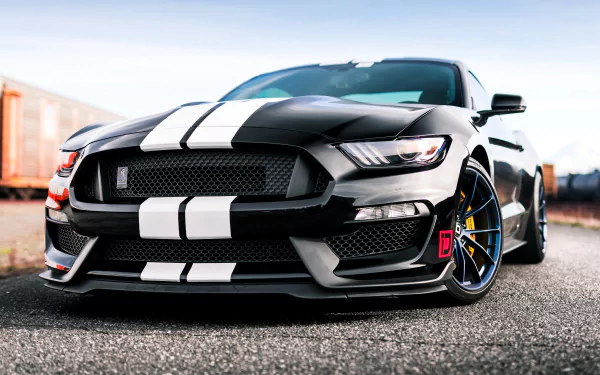 black car muscle car car Ford Ford Mustang Ford Mustang Shelby vehicle Ford Mustang Shelby GT350 HD Desktop Wallpaper | Background Image