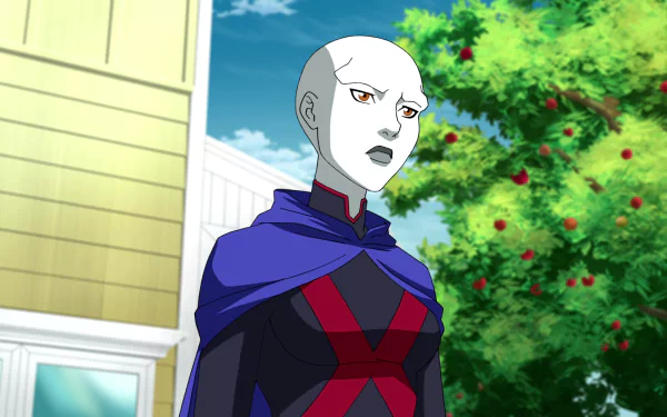 M'gann M'orzz Young Justice (TV Show) Miss Martian TV Show Young Justice HD Desktop Wallpaper | Background Image