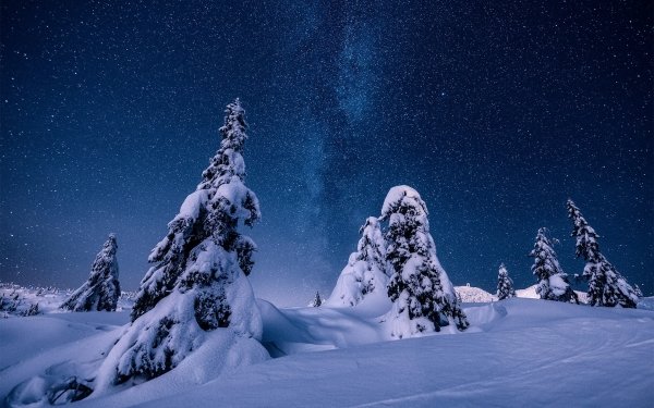 Nature Winter Snow Night Stars Norway Starry Sky HD Wallpaper | Background Image