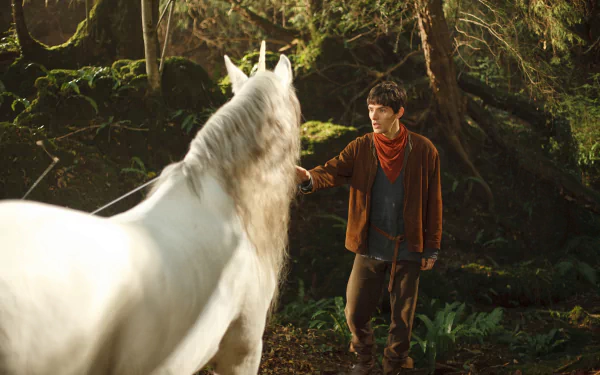 The Unicorn