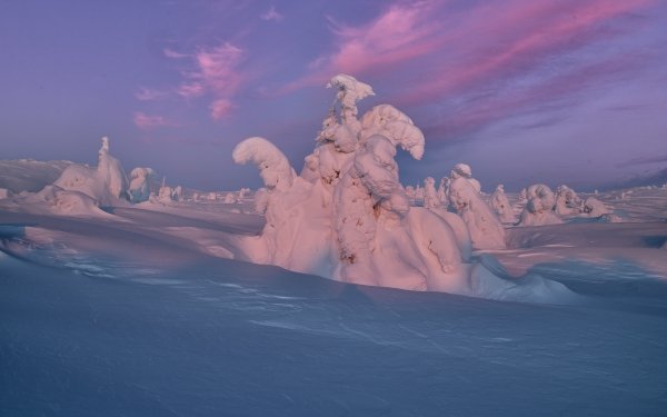 Nature Winter Snow Landscape HD Wallpaper | Background Image