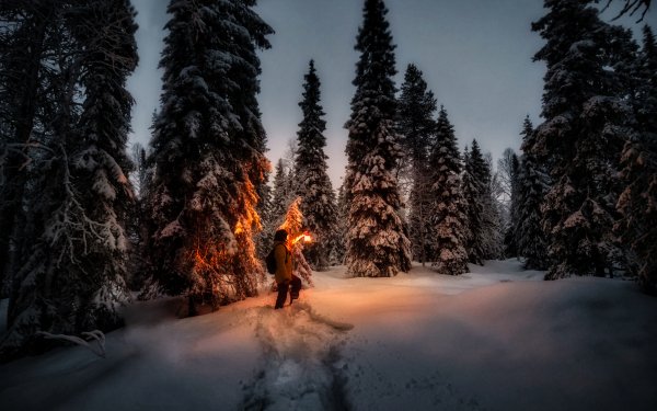Photography Winter Lantern Night Snow HD Wallpaper | Background Image