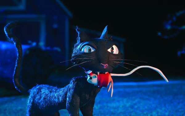  The Cat