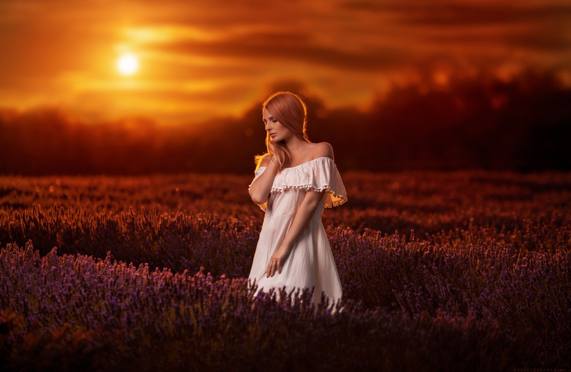Download White Dress Redhead Lavender Sunset Flower Field Woman Model ...