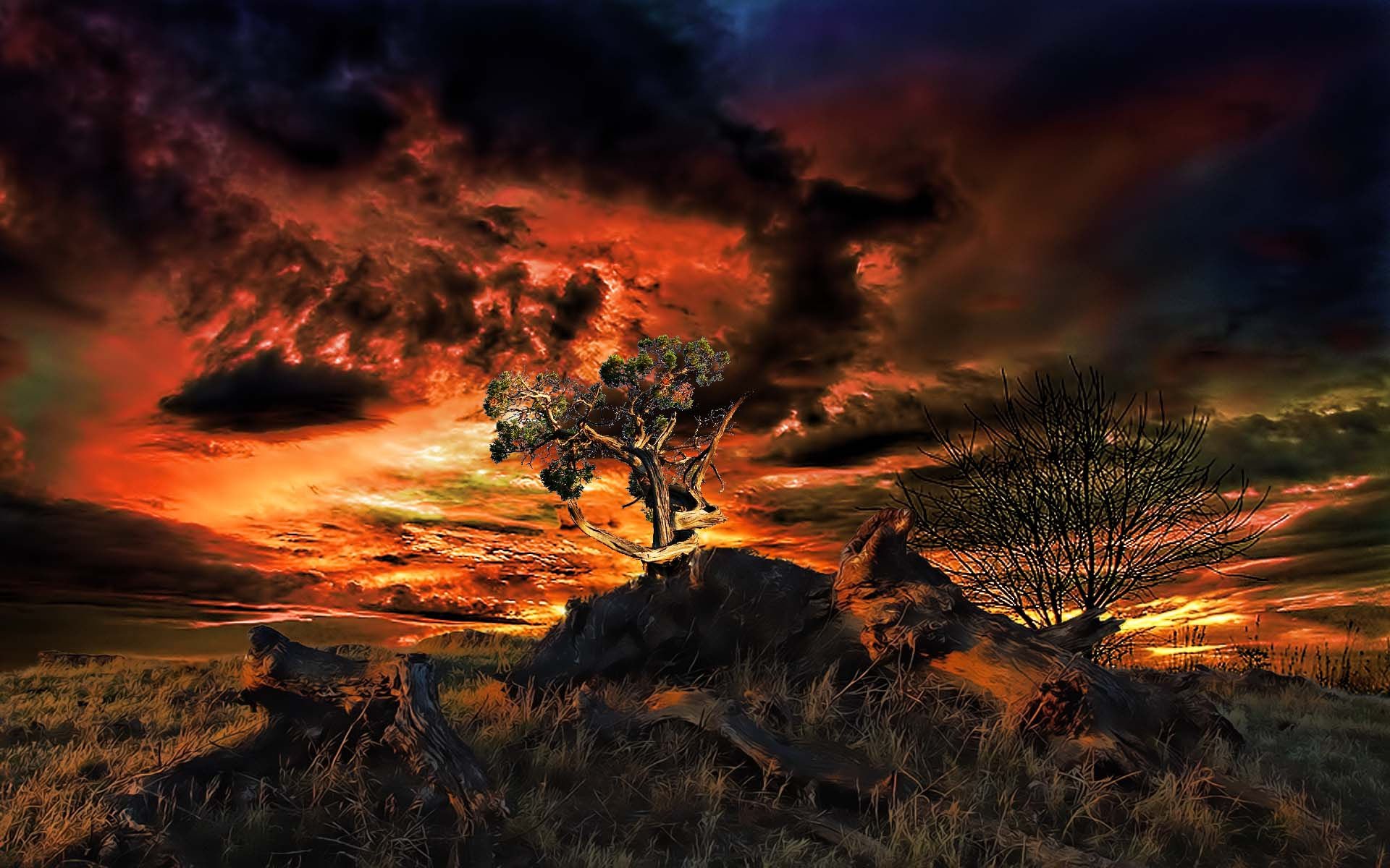 A stunning HD desktop wallpaper featuring an artistic sunset with dramatic clouds and illuminated trees against a vibrant sky.