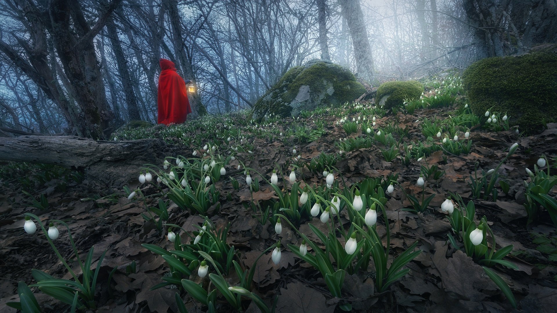 Download Red Riding Hood Lantern Night Forest Woman Mood Night Mood HD Wallpaper by Anna Politova