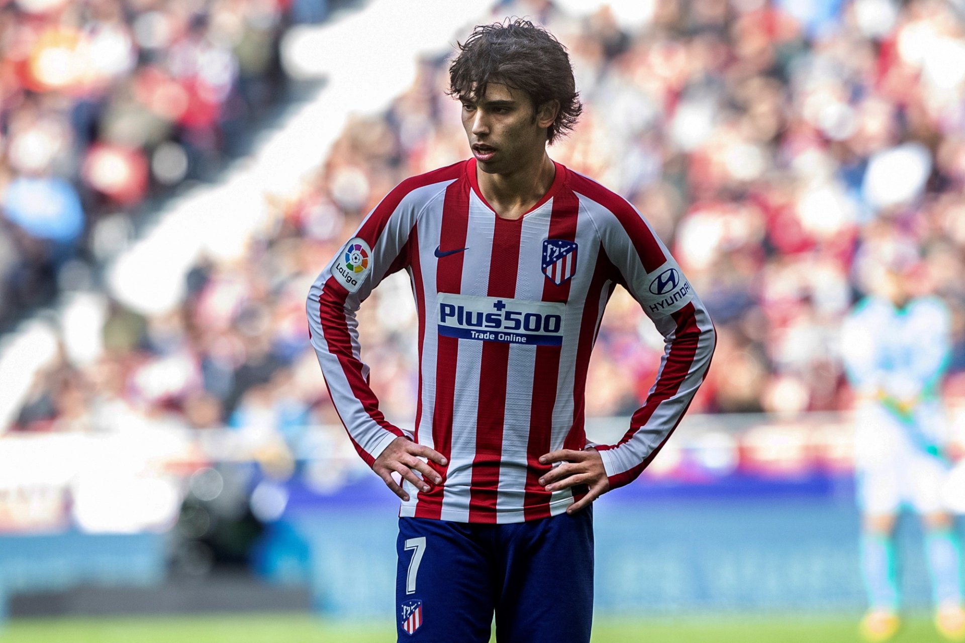 Sports Joao Felix HD Wallpaper