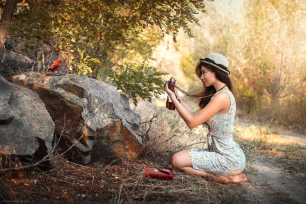 A brunette woman model in a dress and hat kneels outdoors, holding a camera to photograph a red bird on rocks, captured in a high-definition PC desktop wallpaper background.