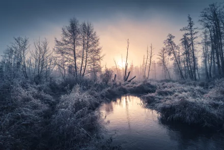 outdoor nature fog stream winter HD Desktop Wallpaper | Background Image