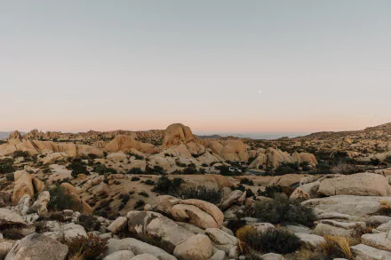 nature desert HD Desktop Wallpaper | Background Image